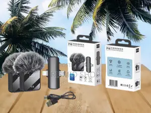 F15-2 Professional Wireless Mic