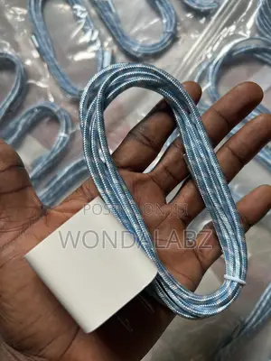 iPhone Lighting Charger