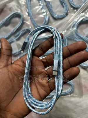iPhone Lighting Charger