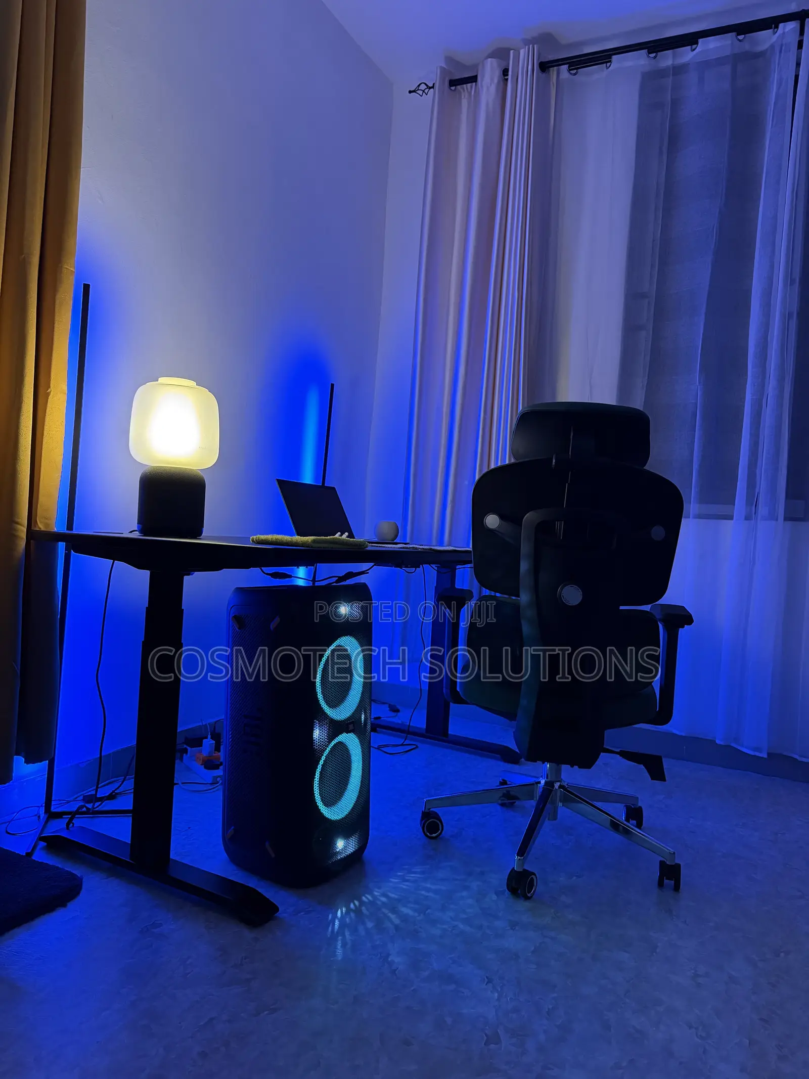 Electric Adjustable Desk