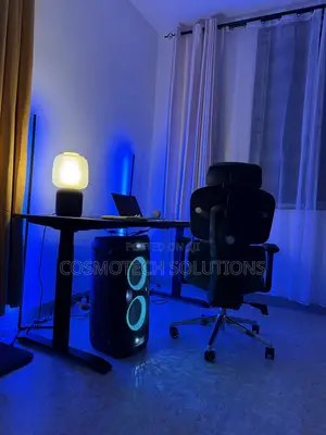 Electric Adjustable Desk