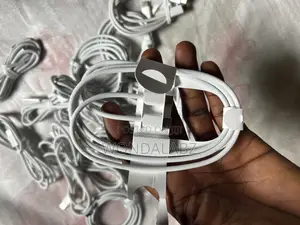 Apple USB C to USB C Cable