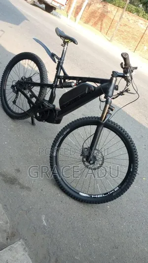 Bafang Electric Bike