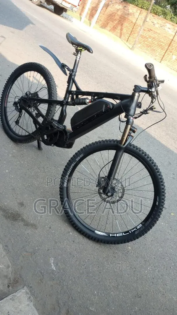 Bafang Electric Bike