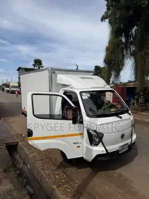 Cargo Truck