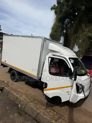 Cargo Truck