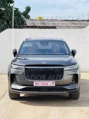 New Li Auto One 2022 Gray