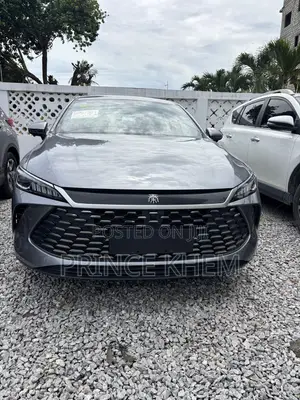 New BYD Qin Plus DM-i 2025 Gray