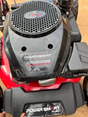 Cub Cadet SC 100 HW Push Lawn Mower
