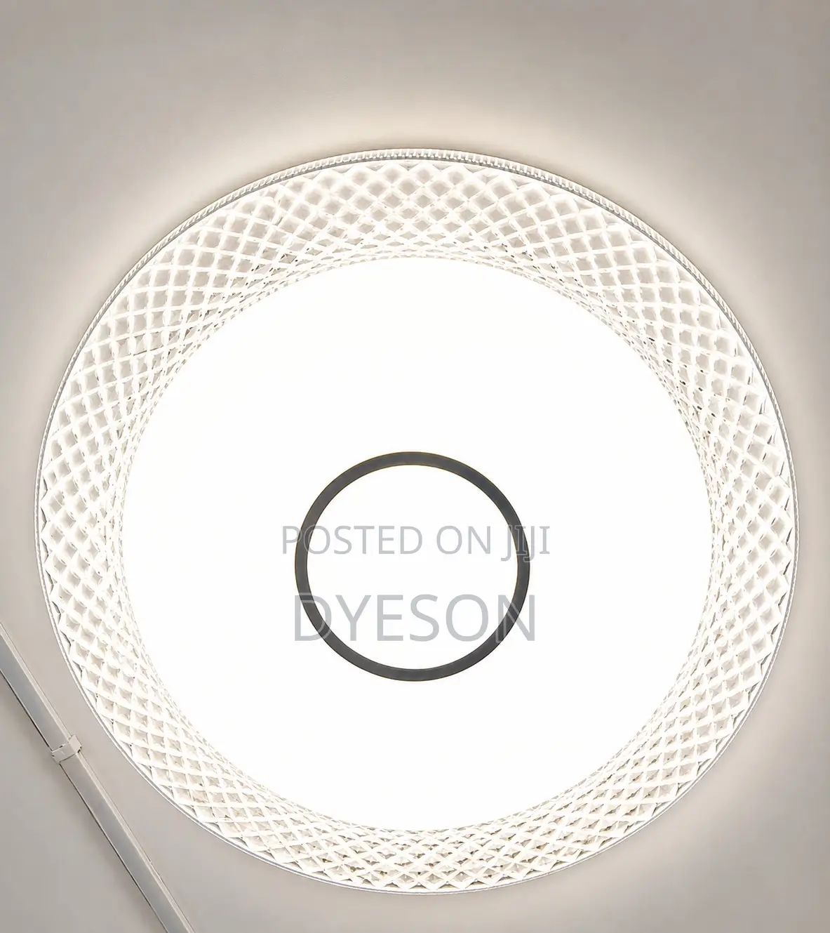 8315/500 Ceiling Light