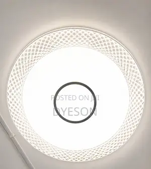 8315/500 Ceiling Light