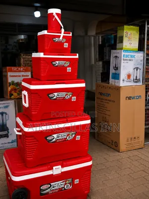 Thermo Ice Chest