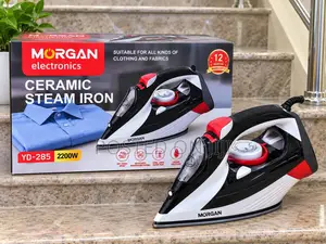 Electric Steam Iron 2200watts