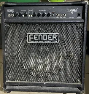 Fender Bass Combo Amplifier