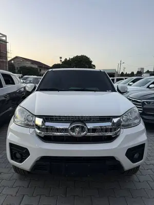 Great Wall Wingle 2020 White