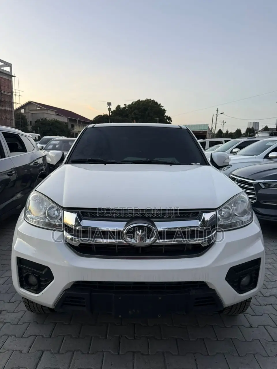 Great Wall Wingle 2020 White