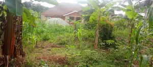 75ft×120ft Plot of Land @Kotwi Tweneduase