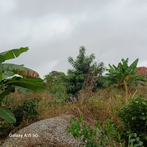 75ft×120ft Plot of Land @Kotwi Tweneduase