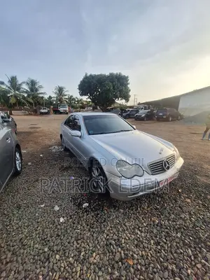 Mercedes-Benz C220 Classic 1998 Gray