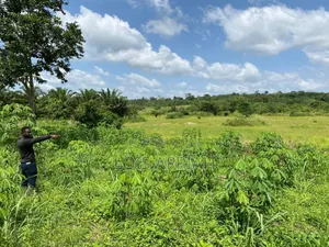 Acres of Farmland for Rent @ Offinso Adagya