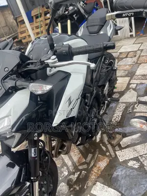 Kawasaki Z900 2022 White