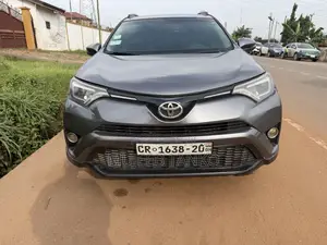 Toyota RAV4 LE AWD (2.5L 4cyl 6A) 2017 Gray