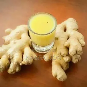 Naaga Lion Herbal and Spiritual Center