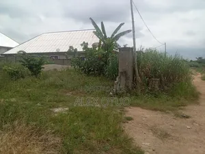 Plot of Land 100/120 Walled Nketia