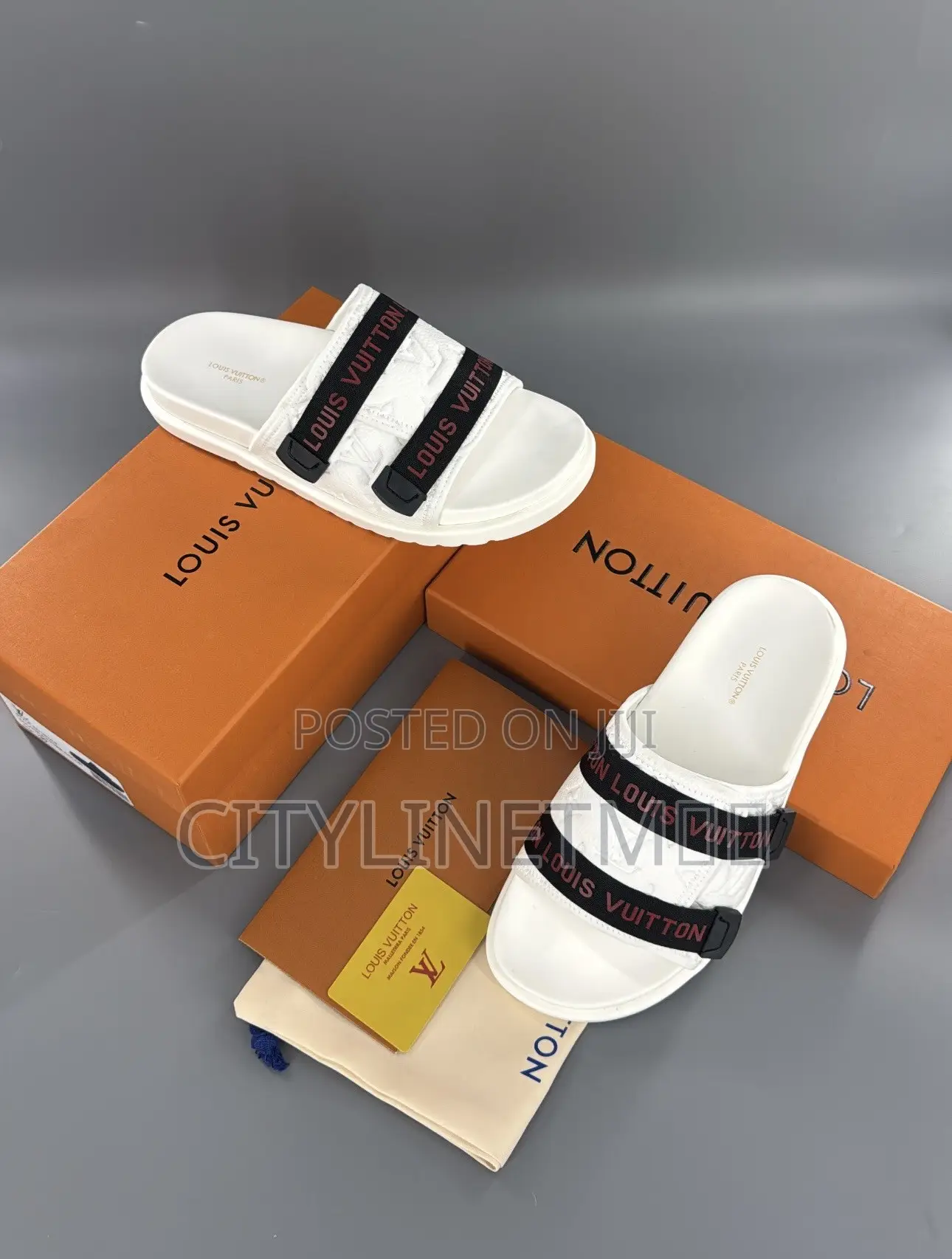 Louis Vuitton Mule Slides