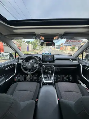 Toyota RAV4 XLE AWD 2019 Silver