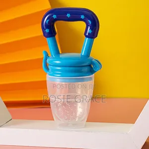 Fruit Pacifier
