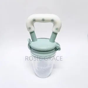 Fruit Pacifier