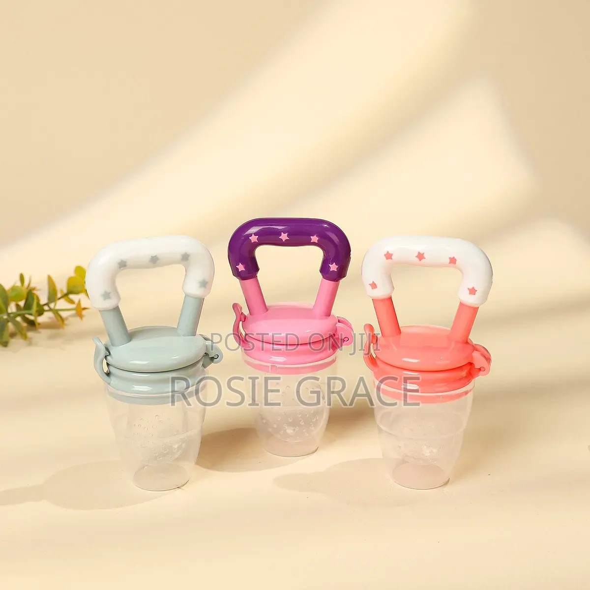 Fruit Pacifier