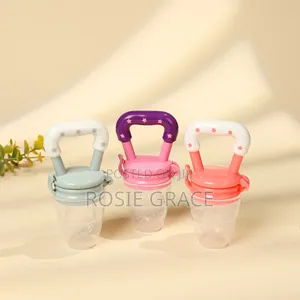 Fruit Pacifier