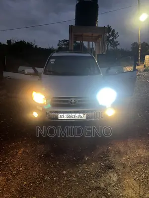 Toyota RAV4 Limited 2007 Gray