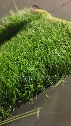 Artificial Grass