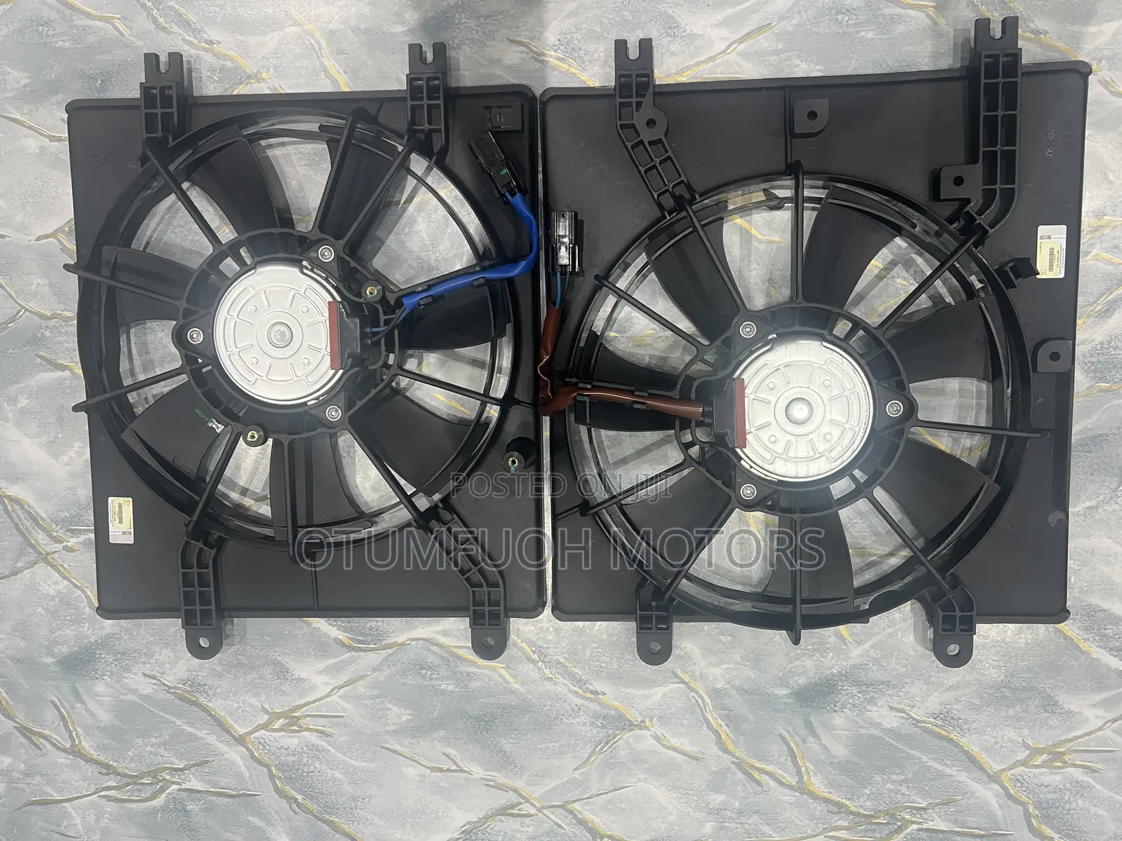 Honda Civic 2022 2023 2024 2025 Fan