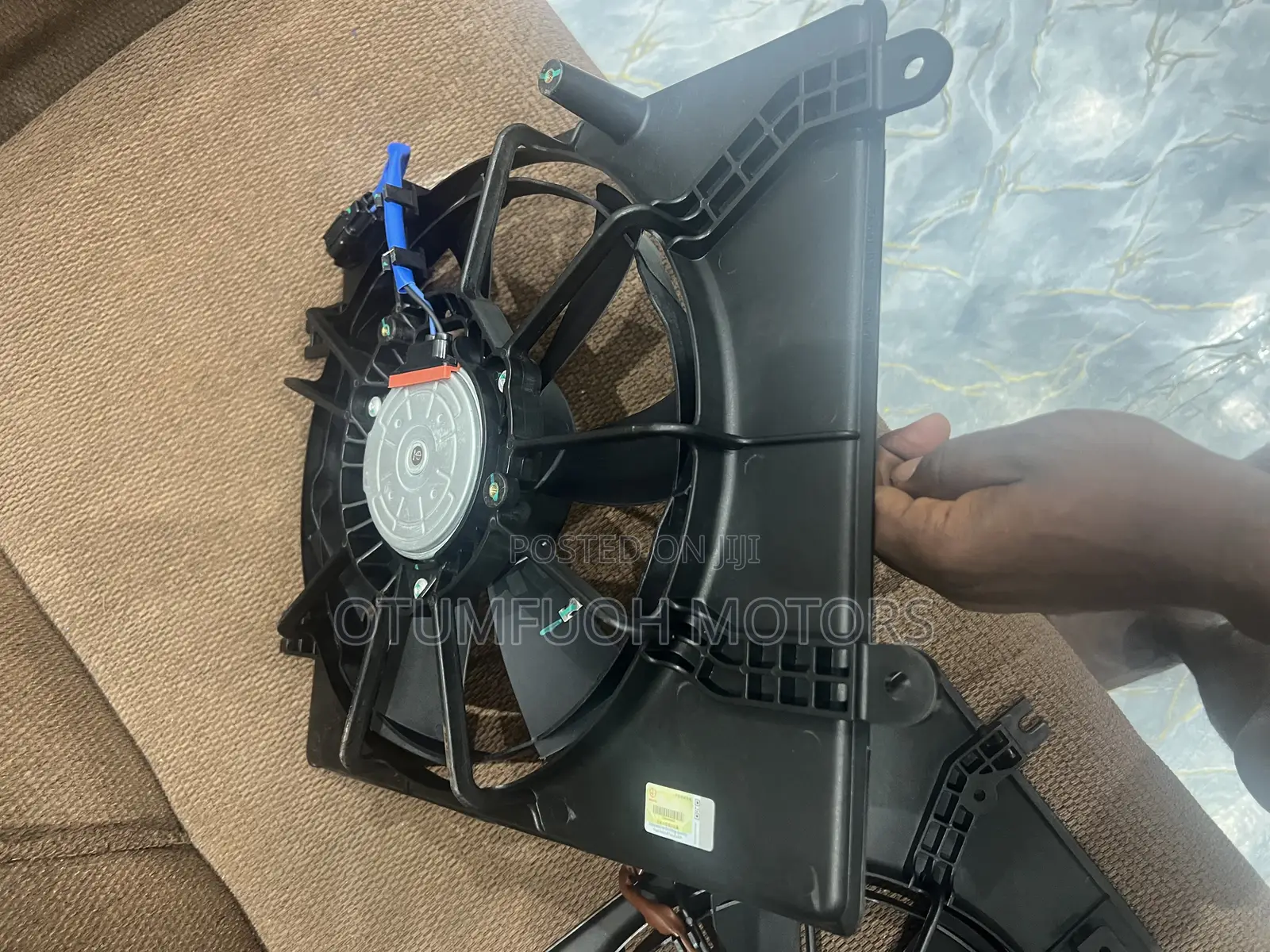 Honda Accord 2023 2024 2025 2026 Fans
