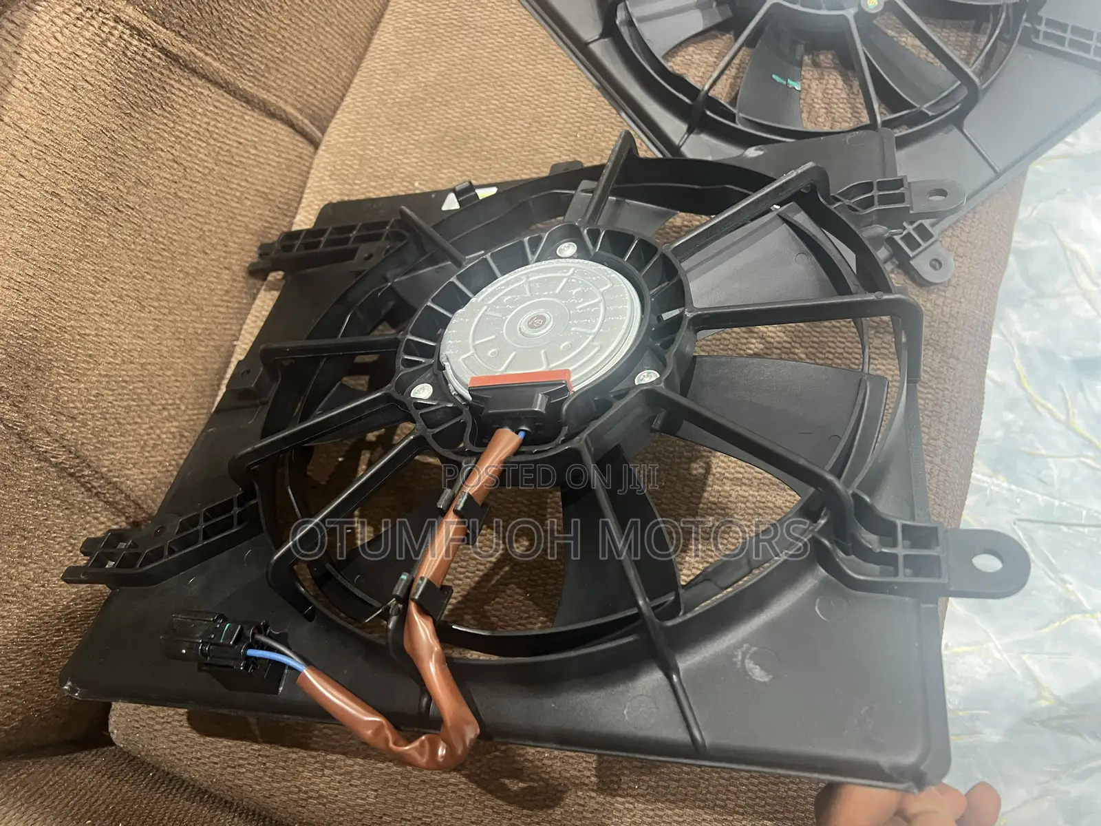 Honda Accord 2023 2024 2025 2026 Fans