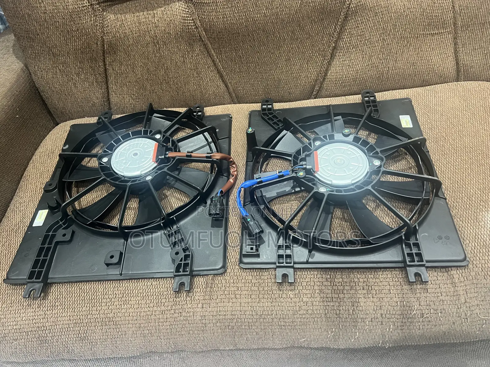 Honda Accord 2023 2024 2025 2026 Fans