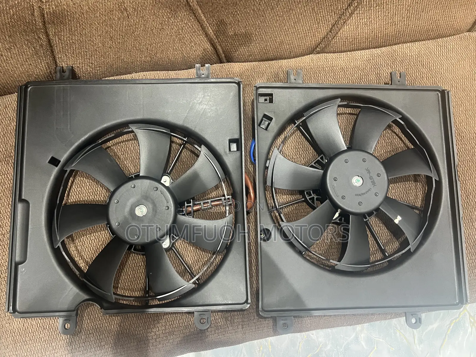 Honda Accord 2023 2024 2025 2026 Fans