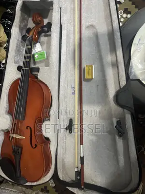 Nice Violin With Bow and It Erase and Bag