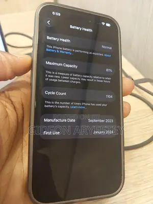 Apple iPhone 15 Pro 256 GB Gray
