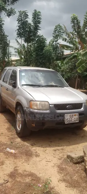 Ford Escape Limited 4x4 2003 Silver