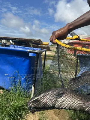 Hi Strength Scoop Net
