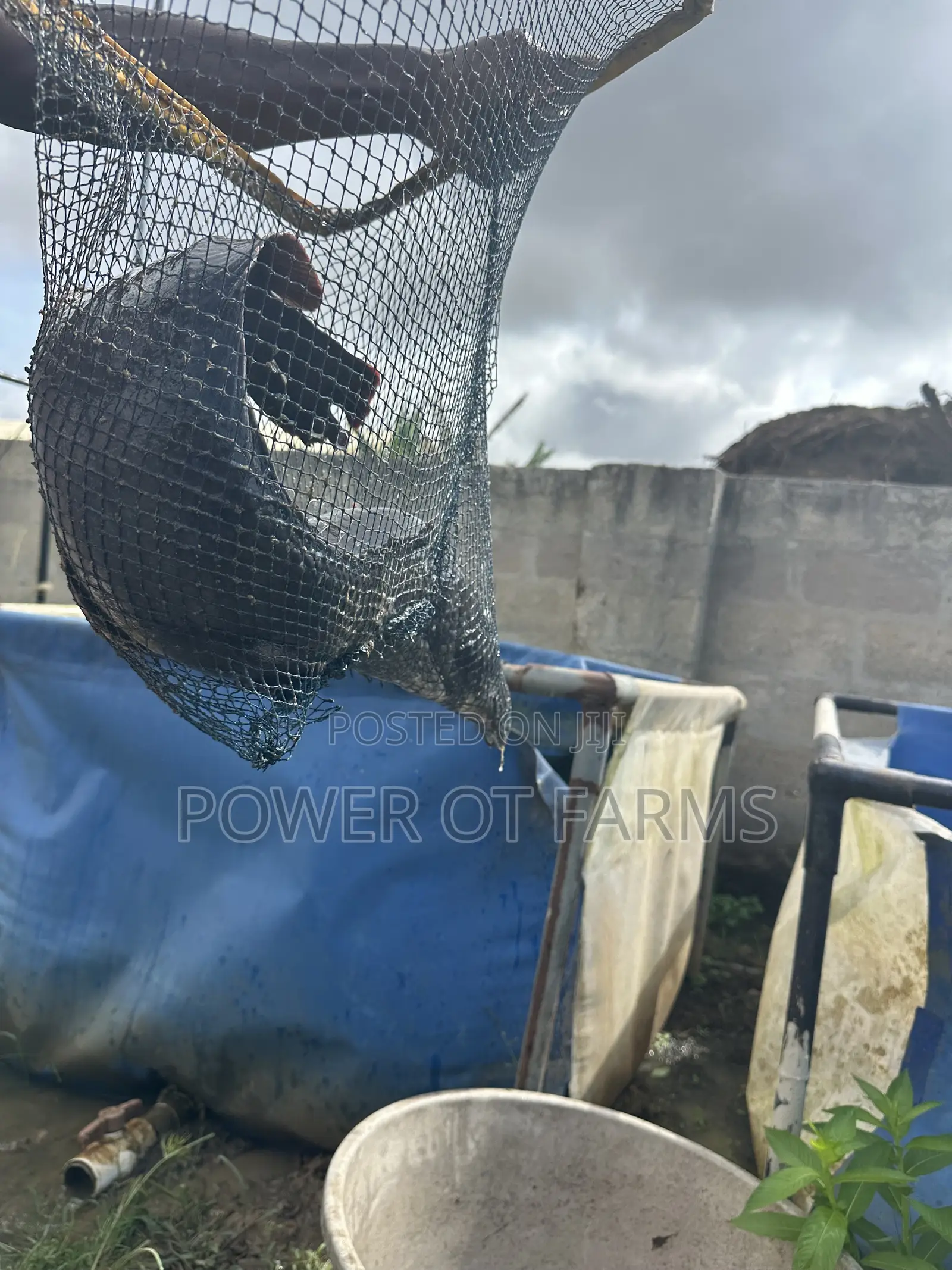 Hi Strength Scoop Net