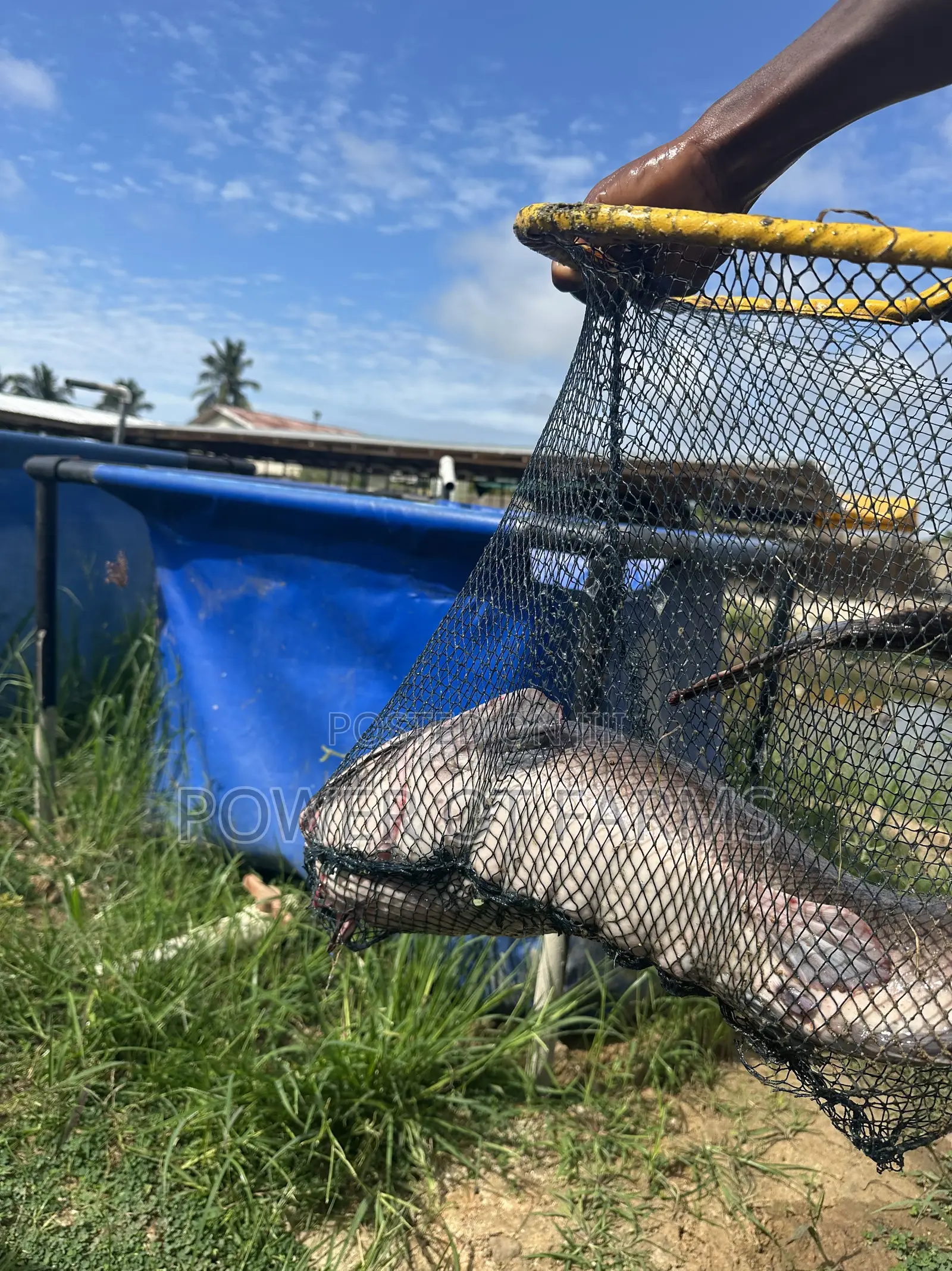 Hi Strength Scoop Net