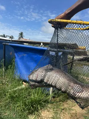 Hi Strength Scoop Net