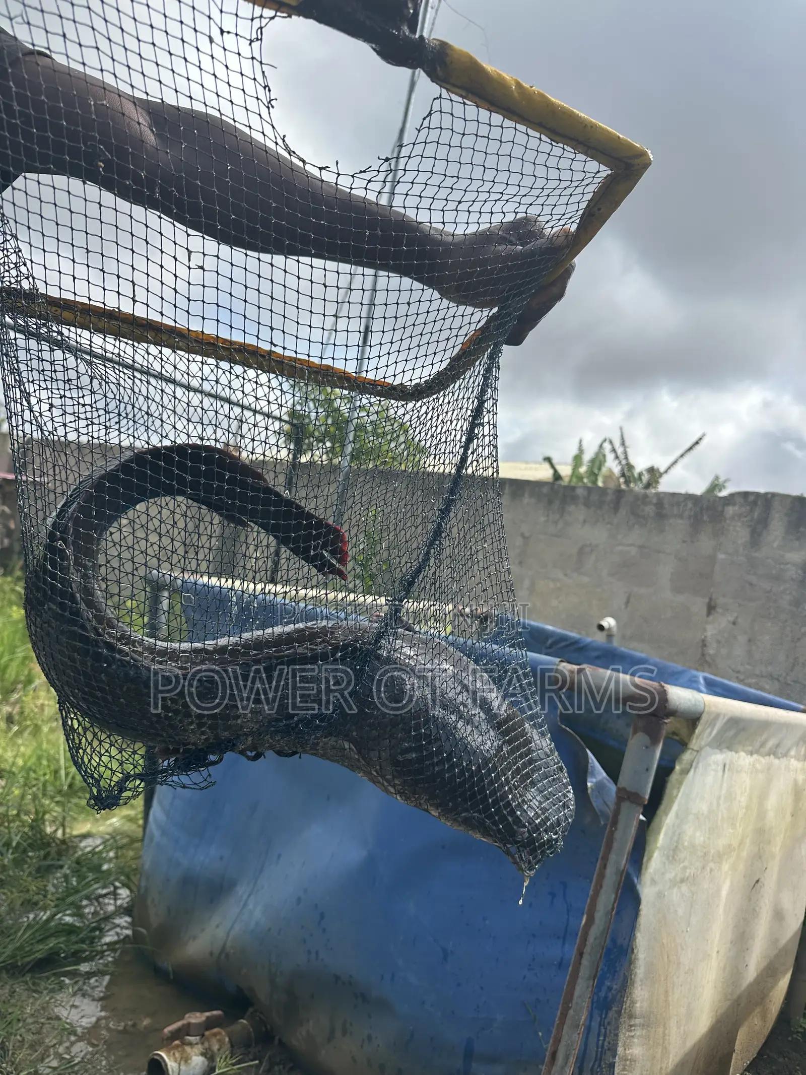 Hi Strength Scoop Net