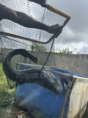 Hi Strength Scoop Net